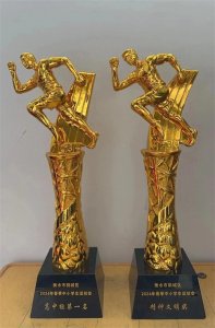 ​衡水市第十四中学在桃城区运动会中荣获高中组第一名！