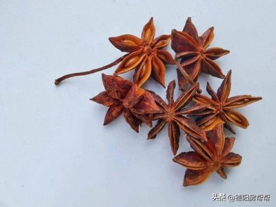 ​八角，德阳最不能缺的硬角子