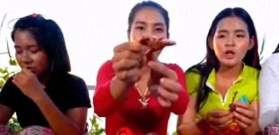 ​那些国家吃老鼠肉