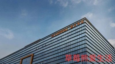 ​网红城市霸都合肥，优秀龙头企业有哪些？打工人！！