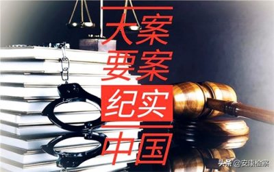 中国大案要案纪实系列（点击文中蓝字直达）