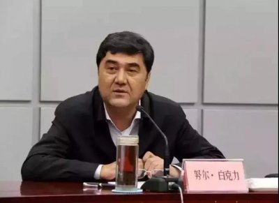 ​努尔·白克力被双开！