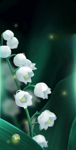 ​唯美静心的壁纸图集