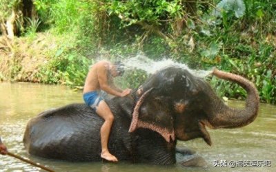 ​笑岔气的搞笑图片：老板就是老板，接的水都比我接的好喝