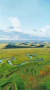 浅论生活中的“劣币驱逐良币”之逆向选择