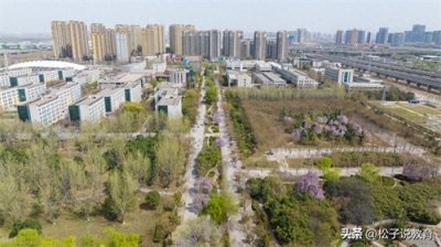 ​600分，长安大学和西北大学，选择哪一所，性价比更高呢？