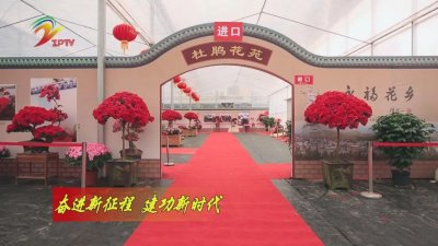 ​漳平永福：芬芳产业绽放“幸福花”