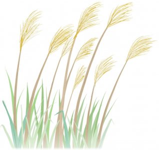 ​科普 | 杂草丛生