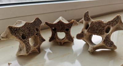 ​何为喜欢一个人