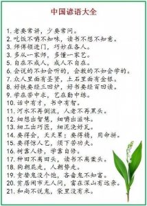 ​中华谚语500句，快看看你知道多少