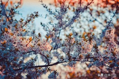 人到中年，如果异性对你有这两种行为，就不要联系了